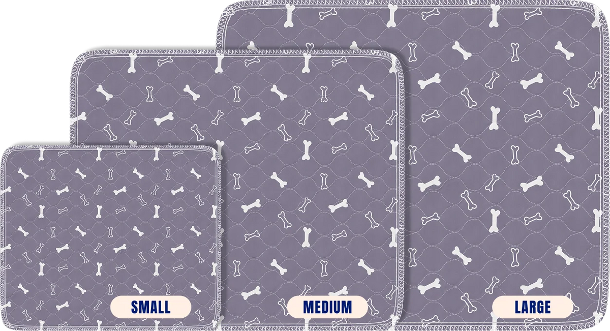 Pad-Size-Comparison.webp