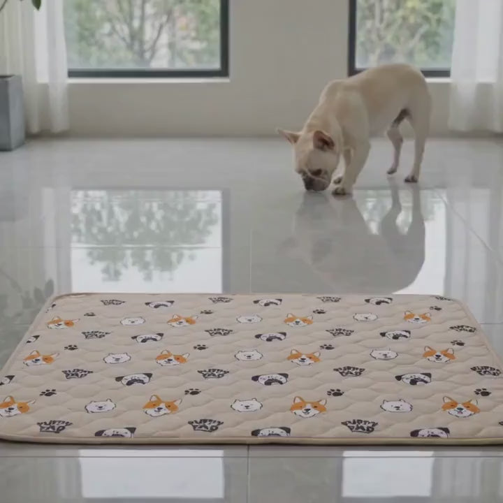 PuppyPad video